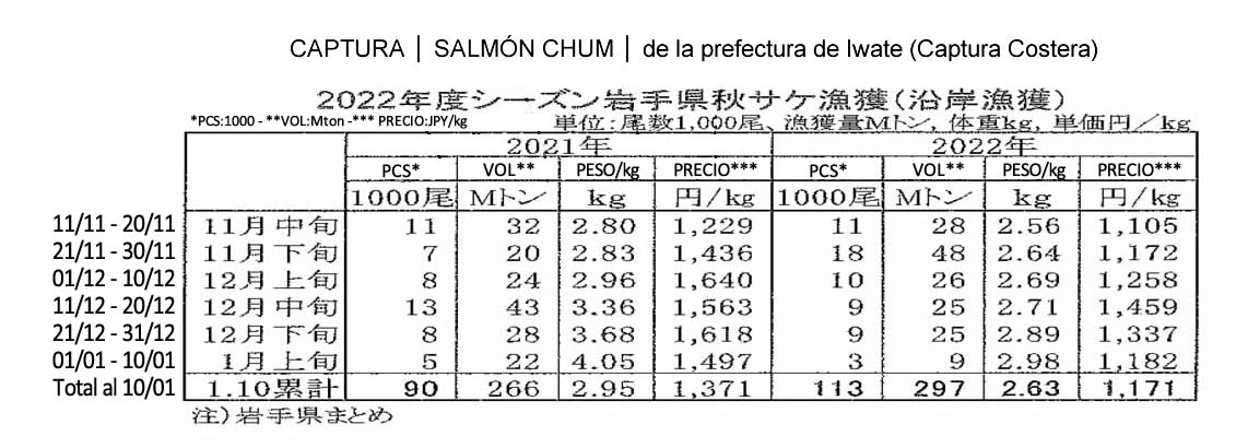 Captura de chum salmon de Iwate FIS seafood_media.jpg